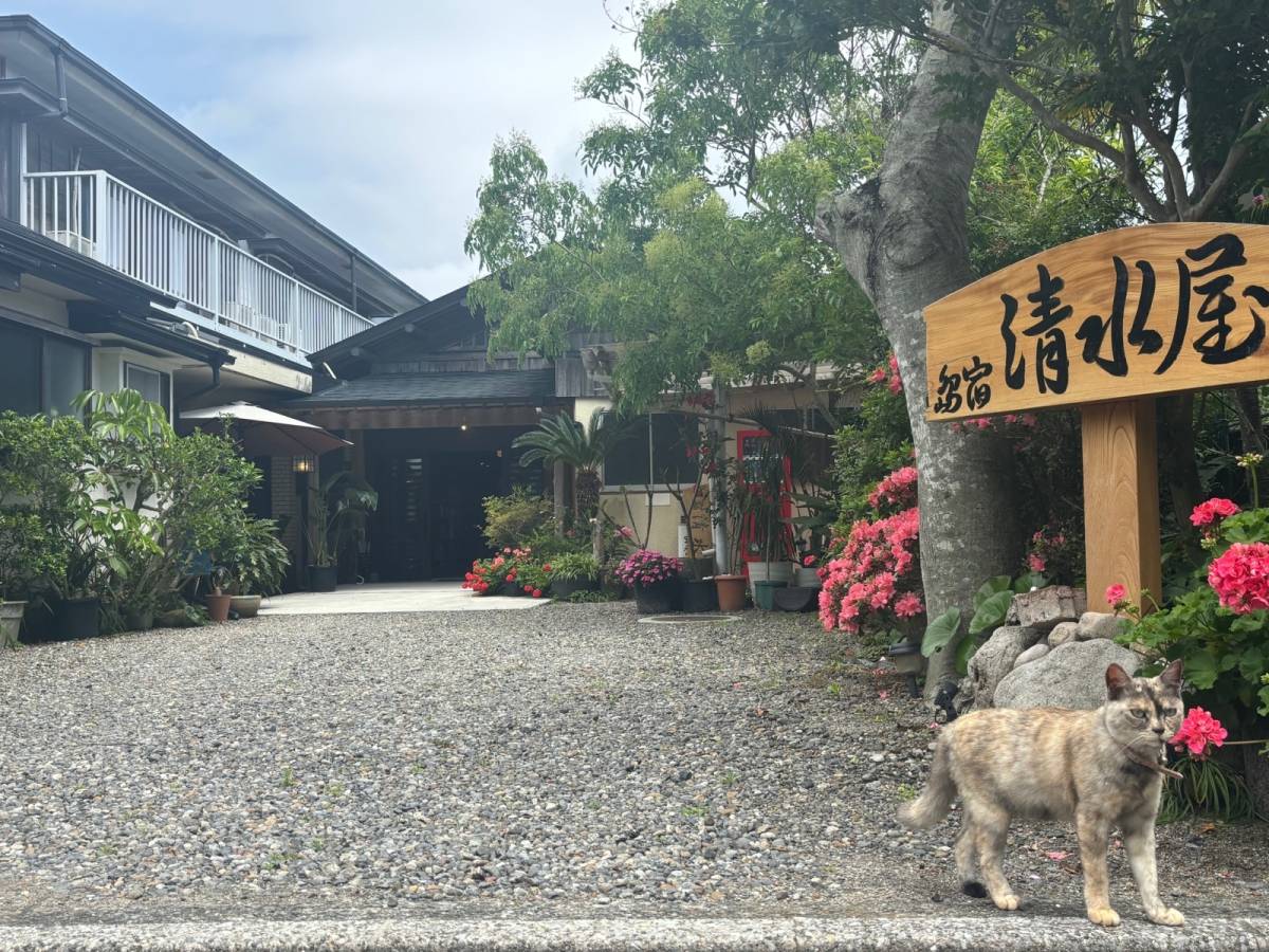 島宿 清水屋