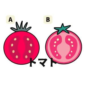 【心理テスト】食べたいのはどっち？「怒ったときの態度」が分かる診断
