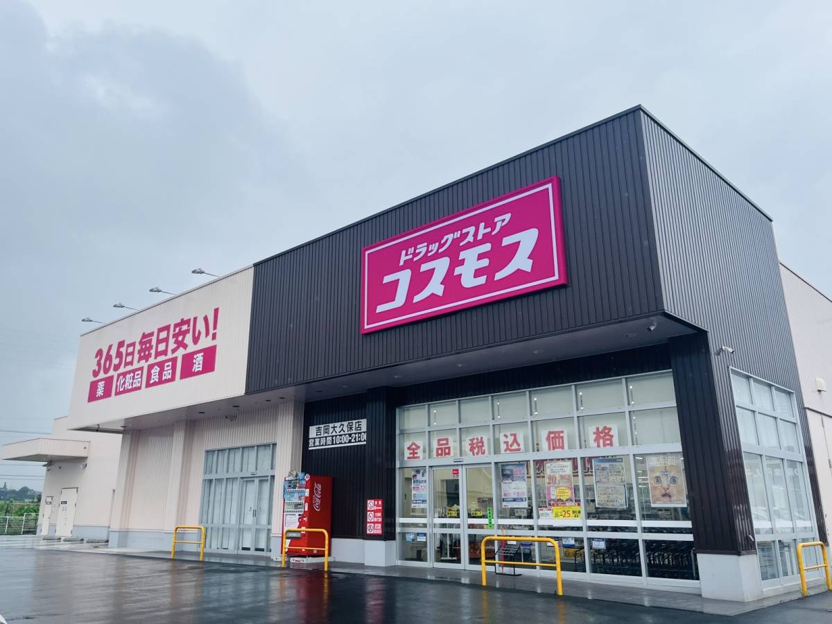 コスモスの人気商品を買ってみた