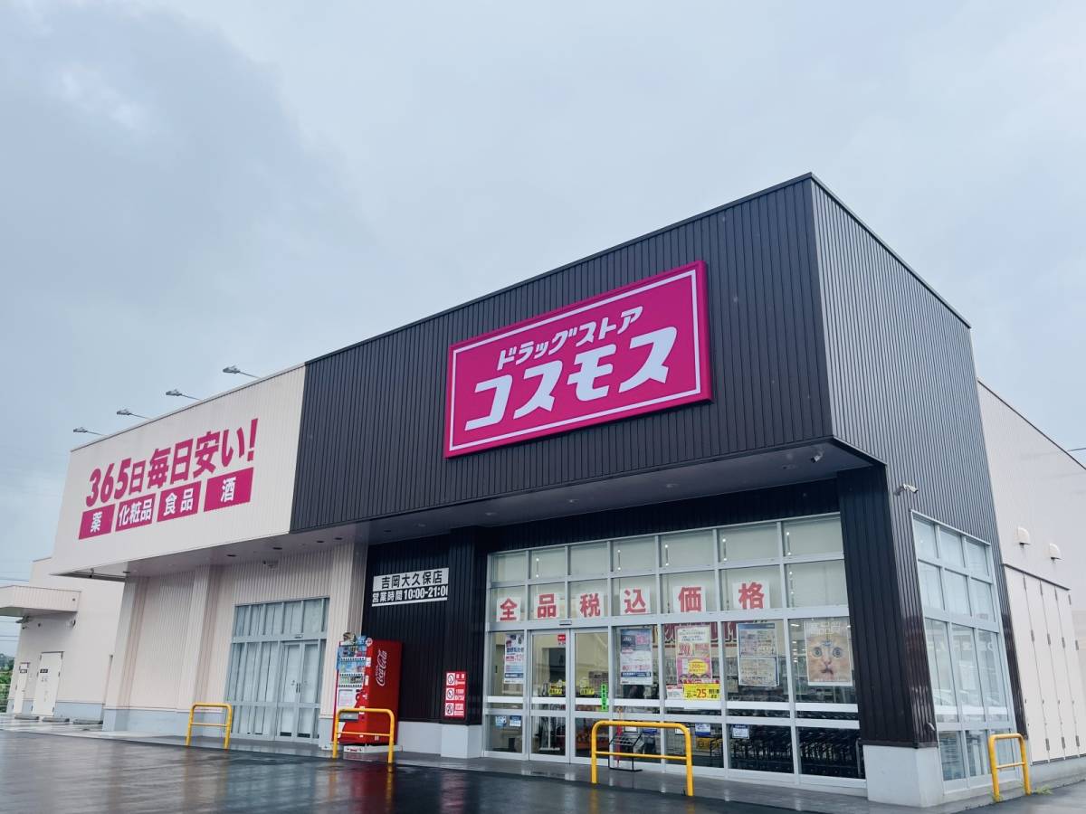 コスモスの隠れ人気商品を買ってみた