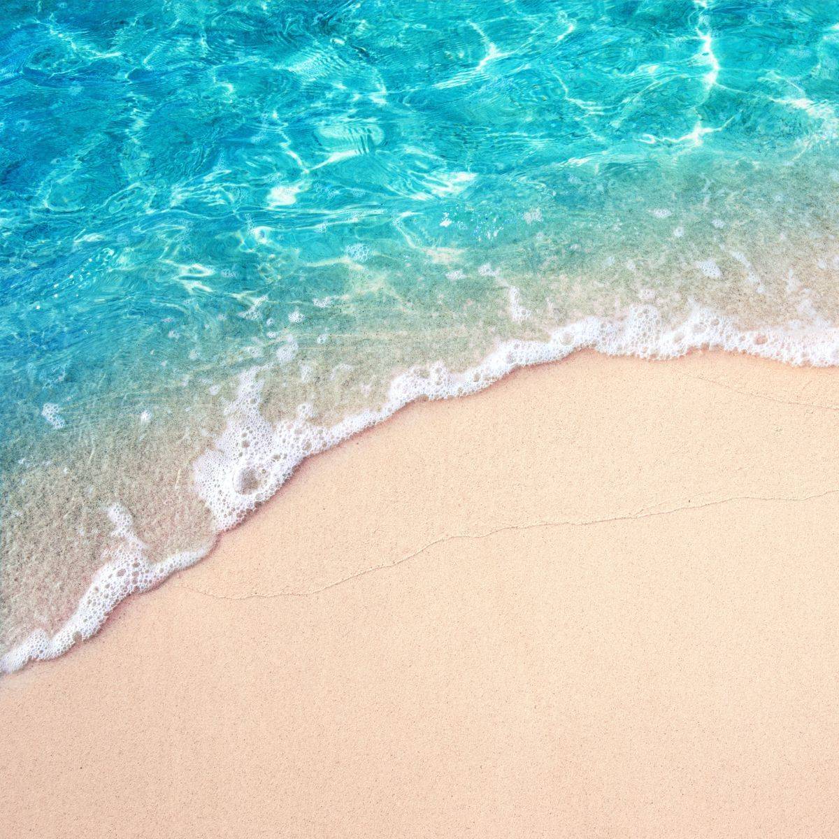 海と砂浜