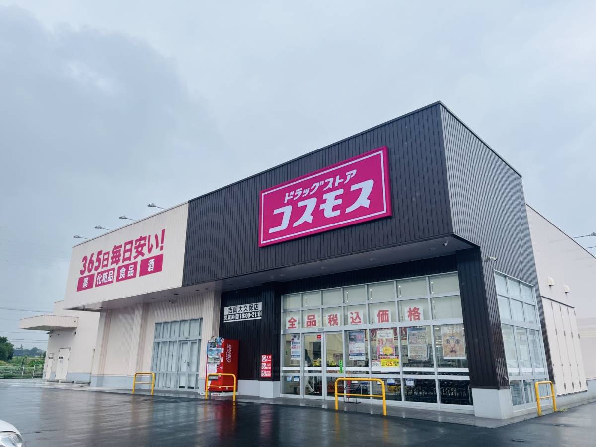 コスモスの隠れ人気商品買ってみた