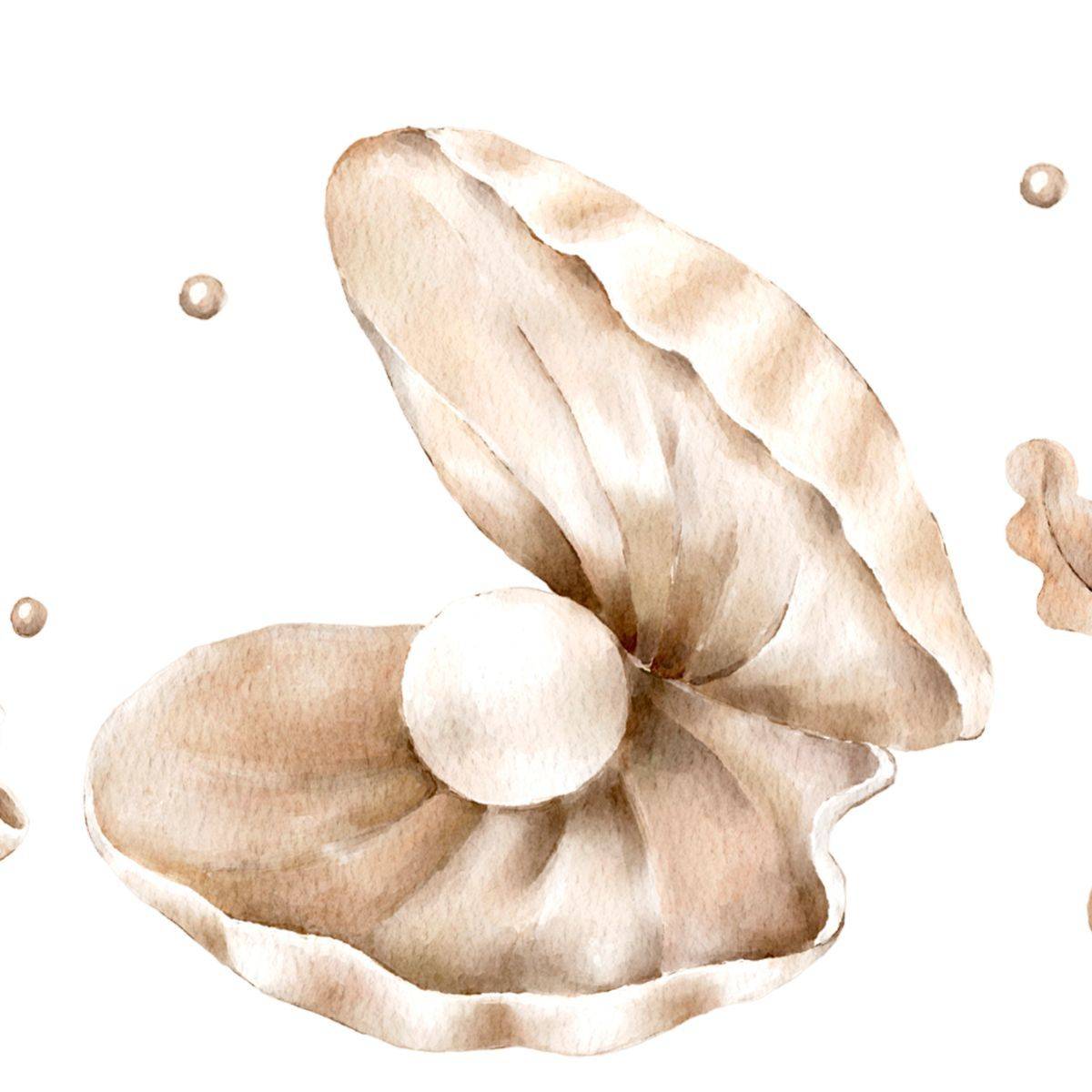 真珠貝と海藻のイラスト