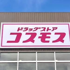 はい、大当たり。【コスモス】の人気商品が腰を抜かすほどウマかった
