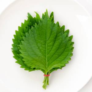 最近コレばっかり食べてる……。火を使わない「大葉」の超簡単レシピ