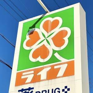 【ライフ】に行ったら毎回買ってる。人気商品が鬼リピしたくなるウマさ