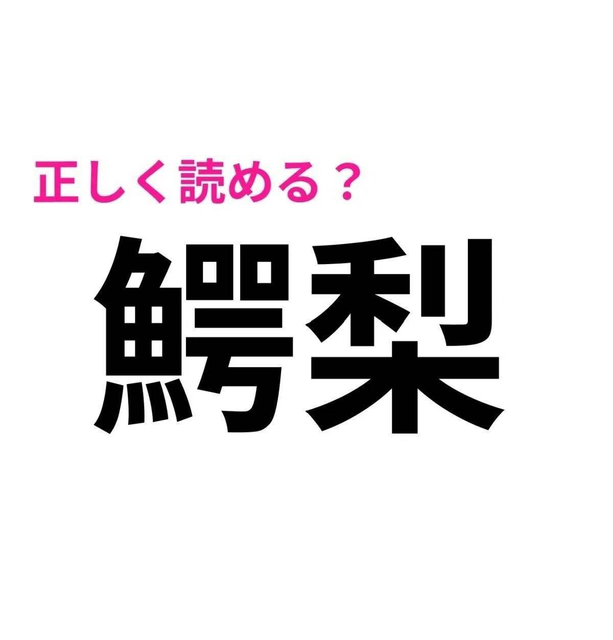 鰐梨