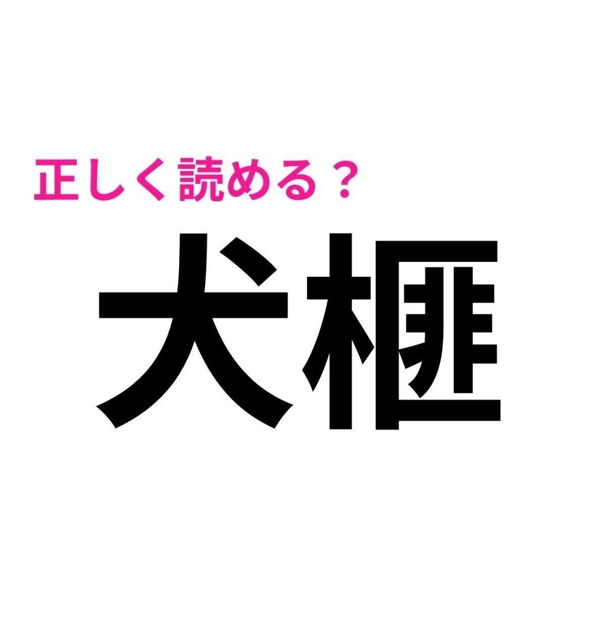犬榧