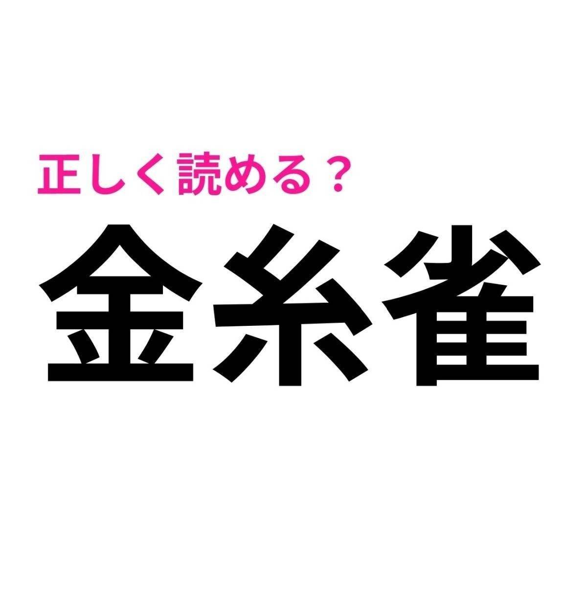 金糸雀