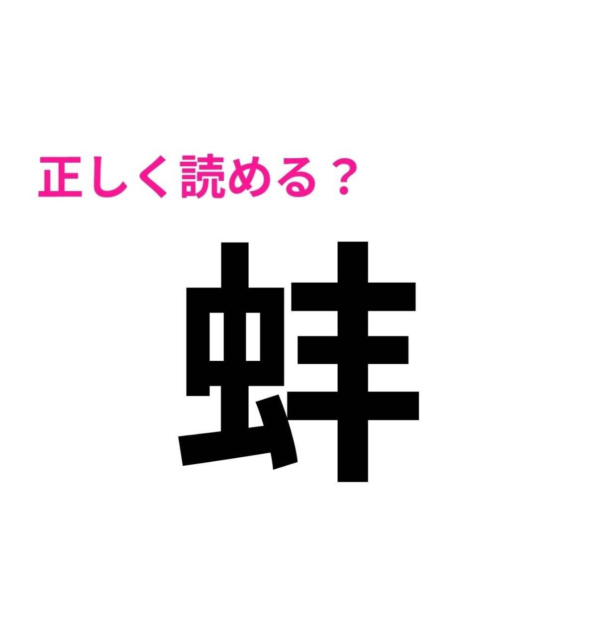 蚌