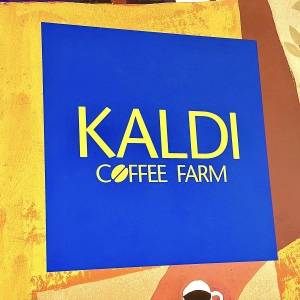 ほぼお店の味じゃん。【カルディ】人気商品が何度も食べたくなるウマさ