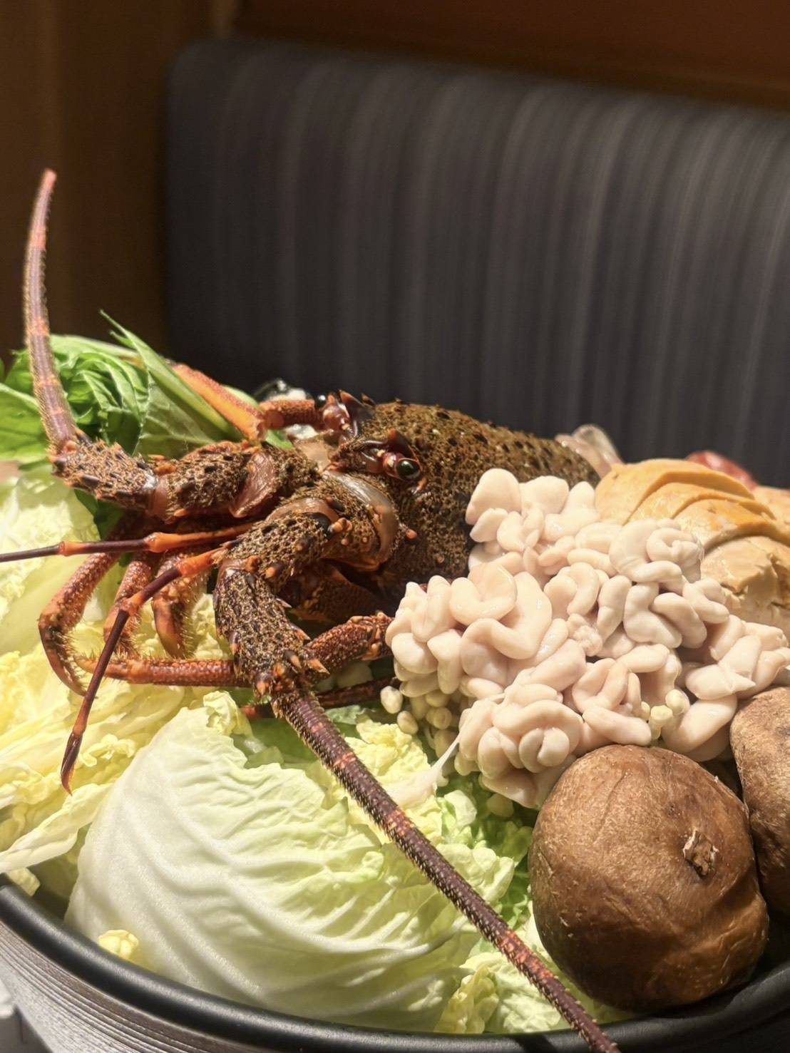 吉祥寺【かいり】