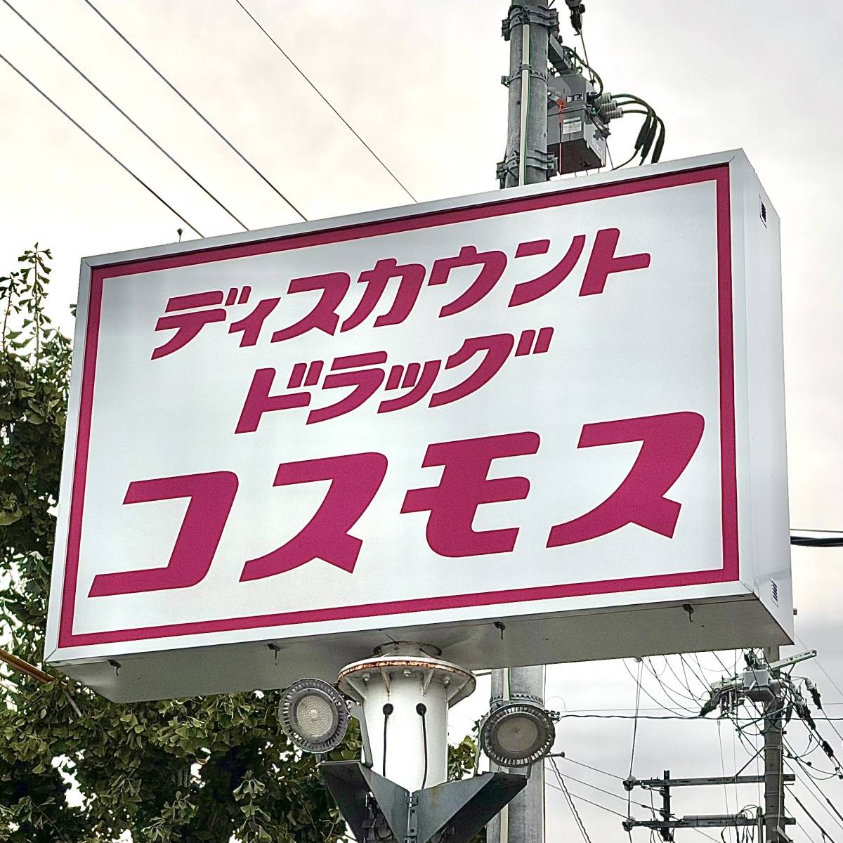 コスモスの看板