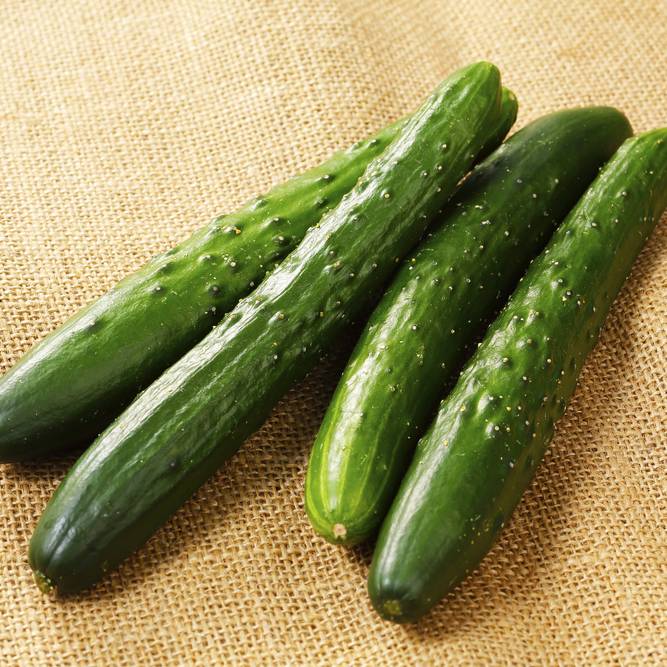 きゅうり