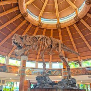 子連れでも回りやすい♪シンガポールに行ったらユニバーサルスタジオへ