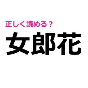  女郎花 