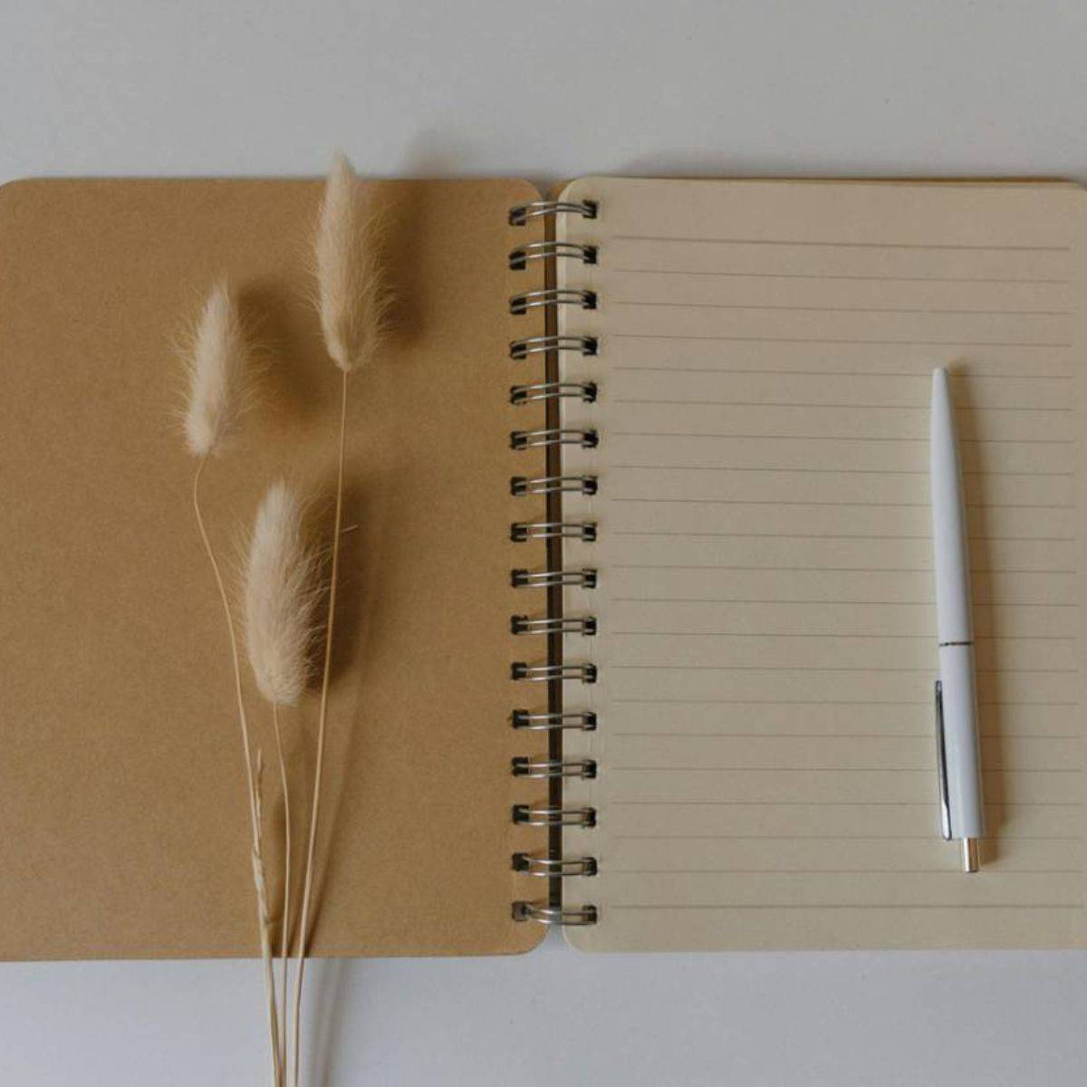 開いたノートとペン