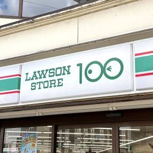 もう3回も買ってる。【ローソンストア100】人気商品が本気でウマい