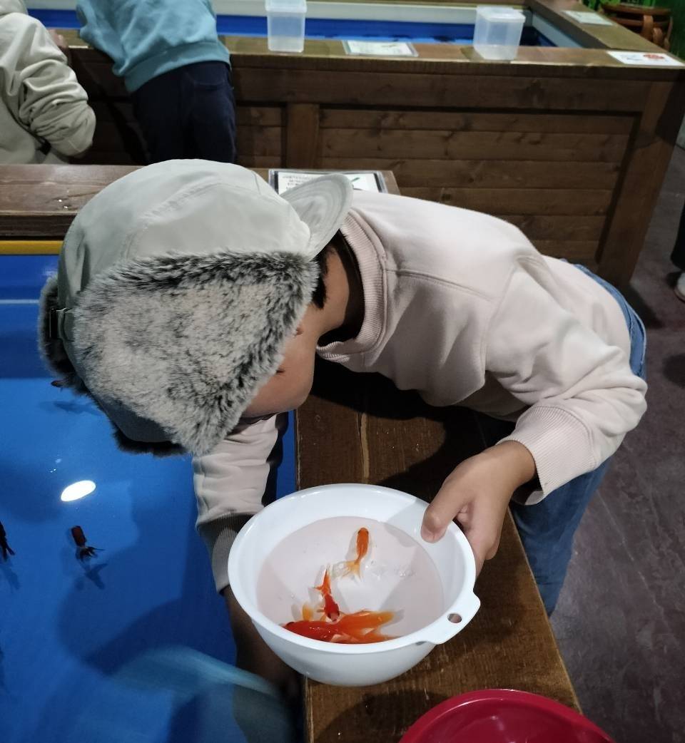 金魚釣りをする男の子