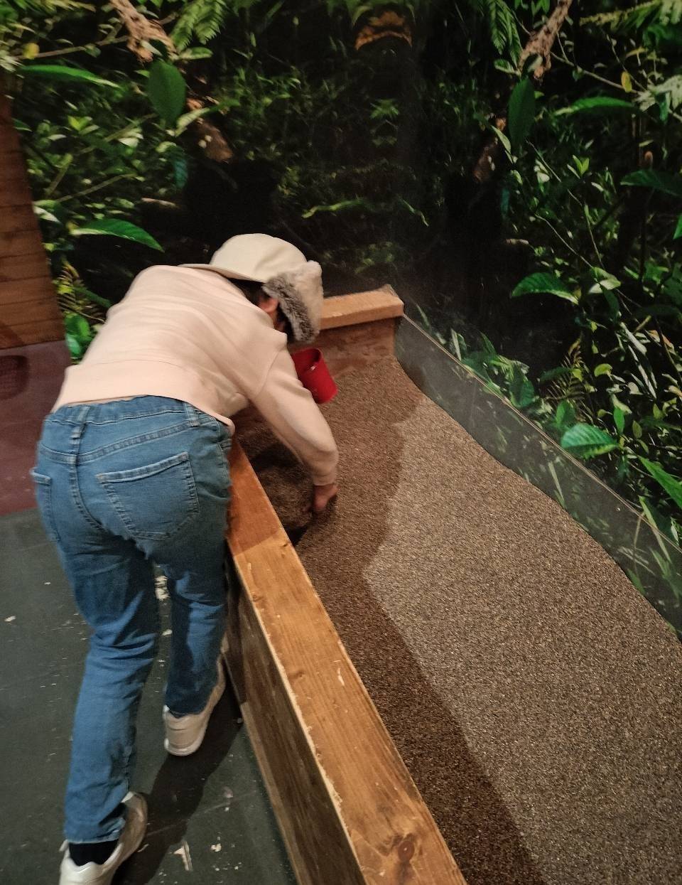 石を探す男の子