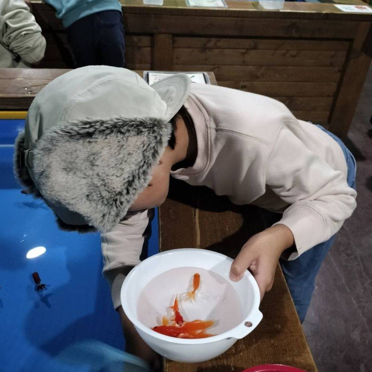 金魚釣りをする男の子