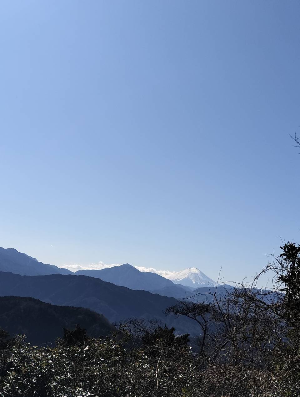 高尾山からの景色