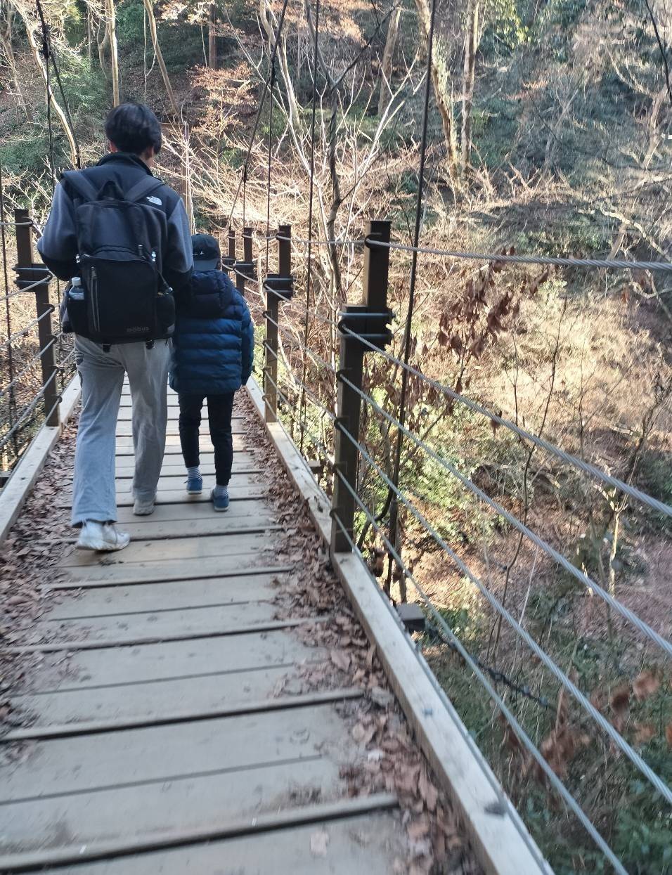 吊り橋を渡る親子