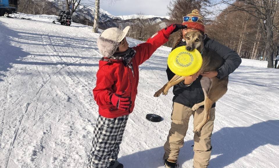 水上高原スキーリゾートの犬を抱く男性と男の子