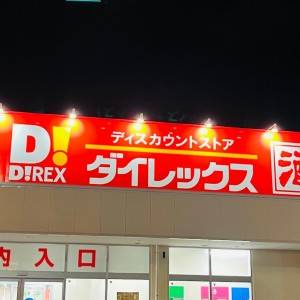 もう【ダイレックス】に通います。人気商品が腰を抜かすほどウマいよ