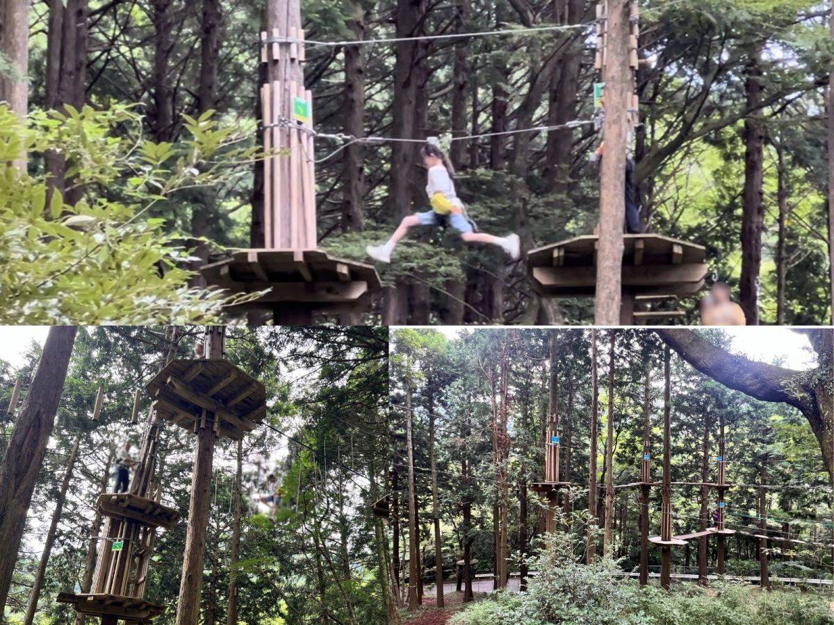 フォレストアドベンチャー・箱根