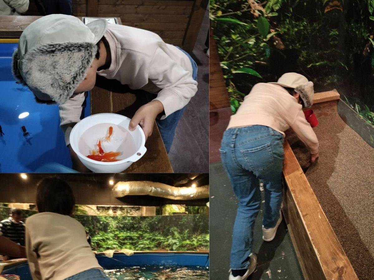 釣って見つけるぼうけんの国 