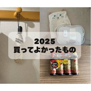 今年買ってよかったのは？「コスパ良すぎ」「もう手放せない」【2025年ベストバイ3選】