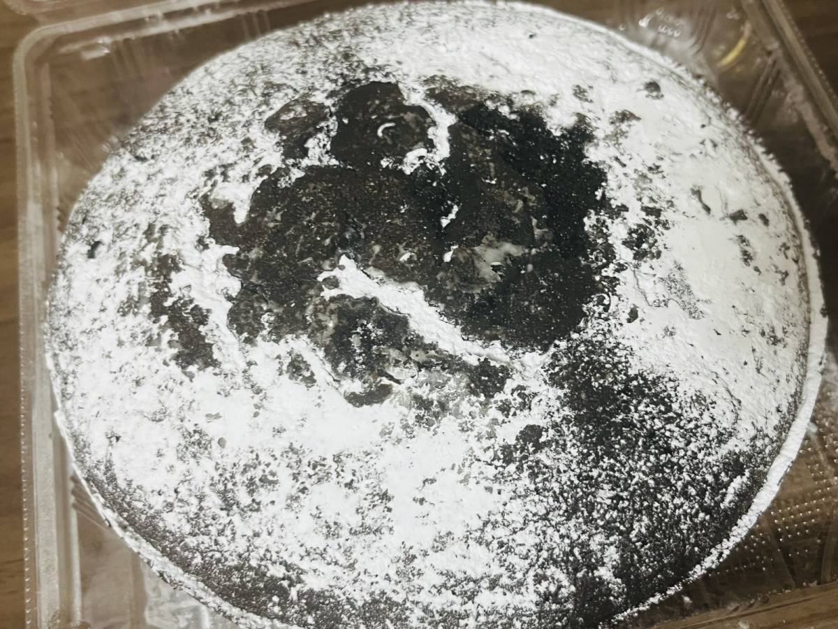 ずっしりと重みを感じるよ！