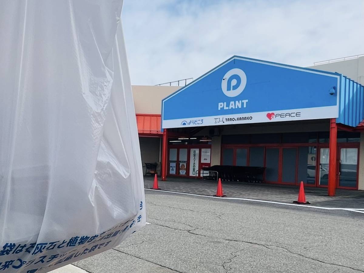 プラントの大人気商品を買ってみた！