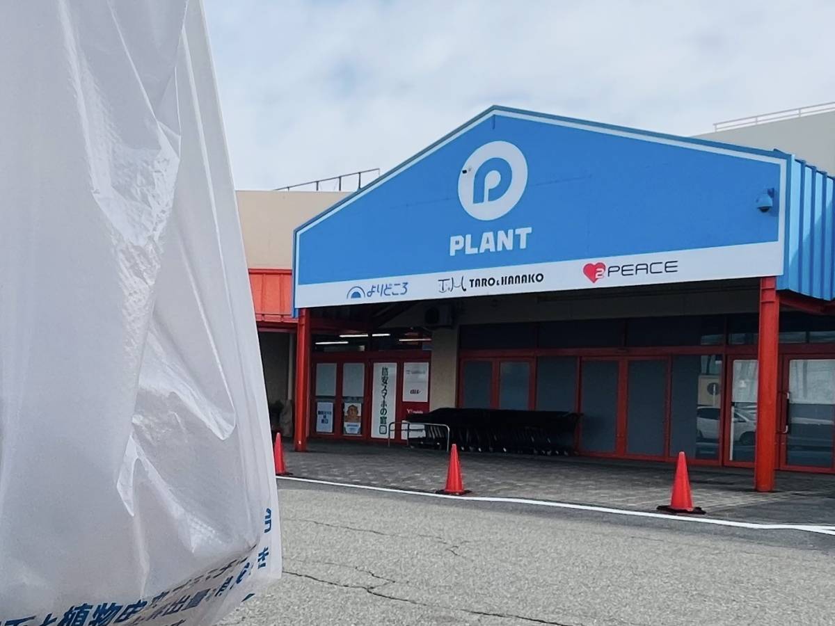 人気商品を買ってみた！