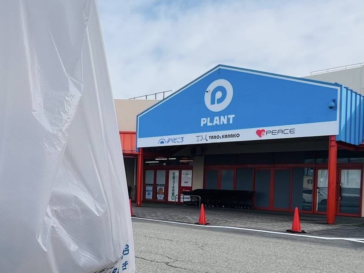 人気商品を買ってみた！