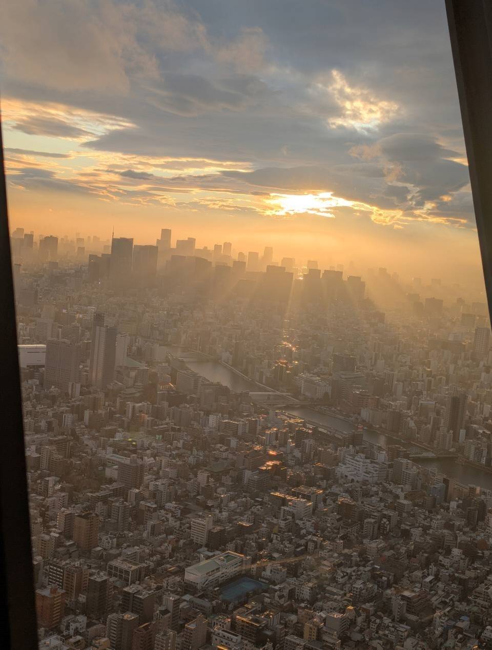スカイツリーからの景色