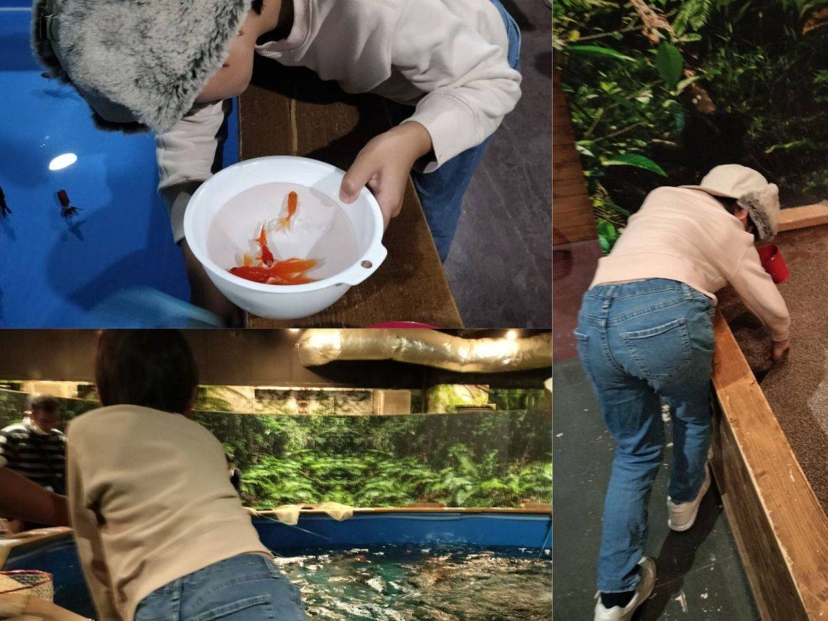 釣って見つけるぼうけんの国