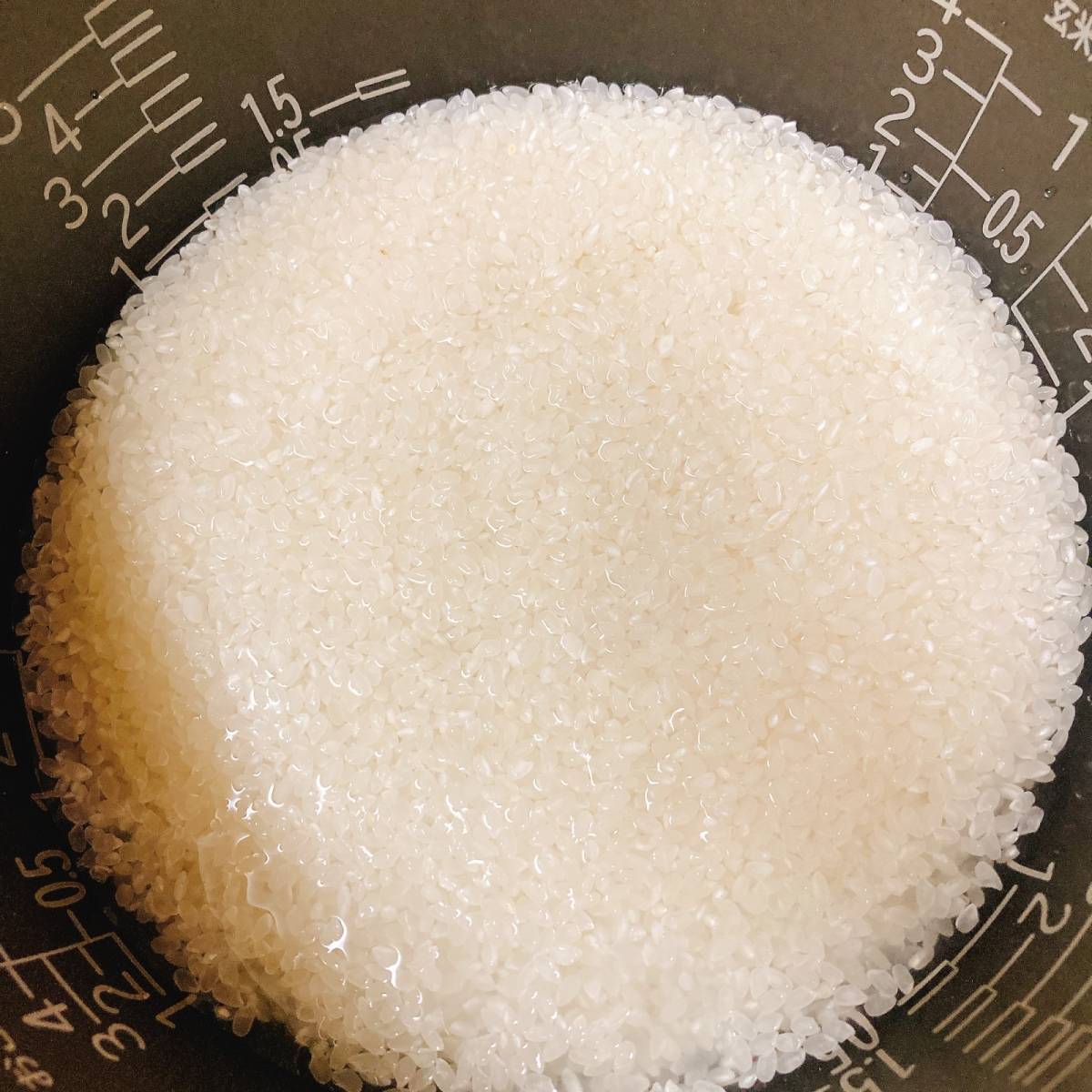 JAグループ公式の「愛知県「鮭とごぼうの炊き込みご飯」ＪＡあいち知多女性部南知多地域」のレシピ	