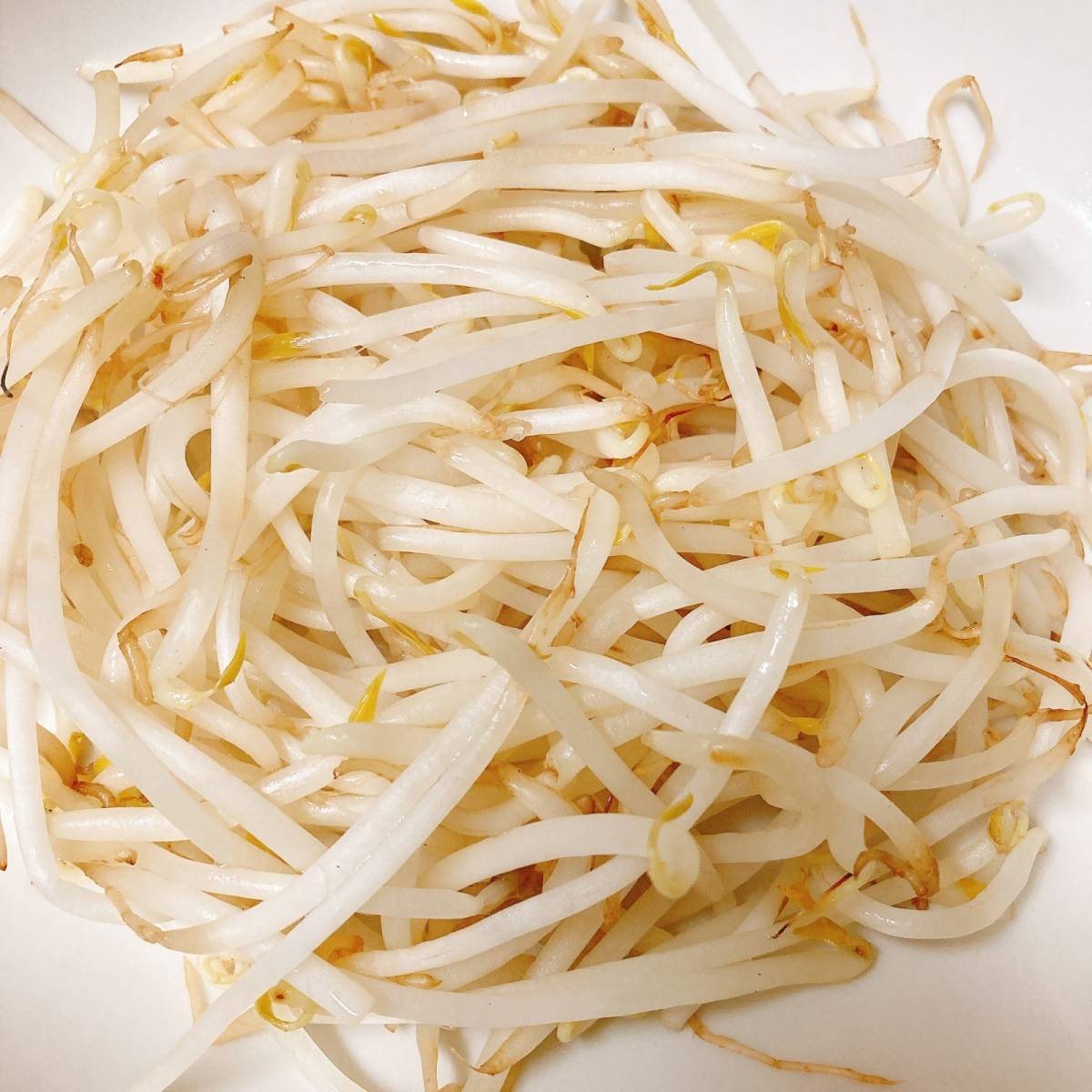 JAグループ公式の「たっぷりもやしに、レンコンの簡単ミートソース風♪」のレシピ