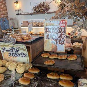 テレビで紹介された人気ベーカリー！店舗も可愛い「夢造りパン工房」