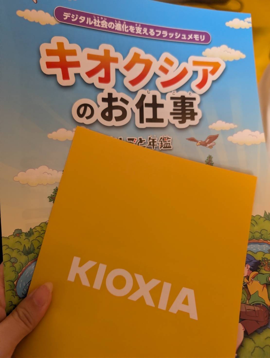 YOXOフェスティバル