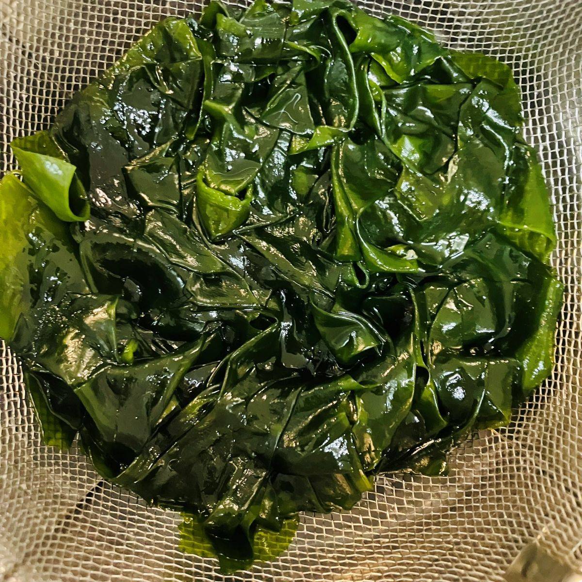 JAグループ公式の「キャベツとワカメのゴマ油和え」のレシピ