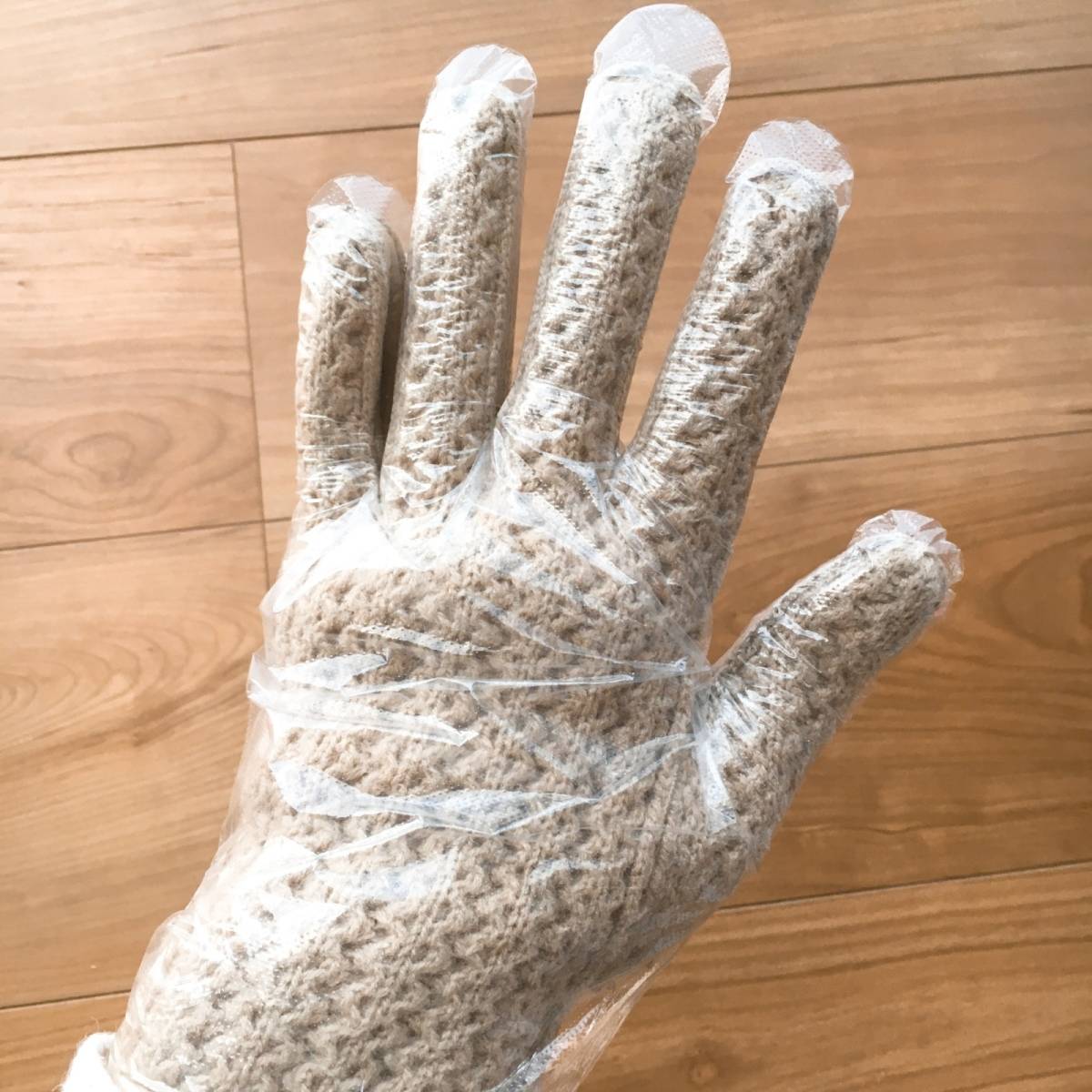 ビニール手袋をはめる2