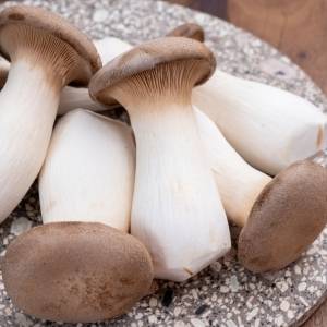 ほぼ切って炒めるだけ。週5で食べたくなる「エリンギ」の超簡単レシピ