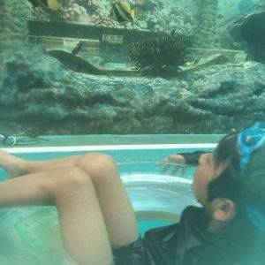 【福島県】1日じゃ足りなかった！充実の「スパリゾートハワイアンズ」