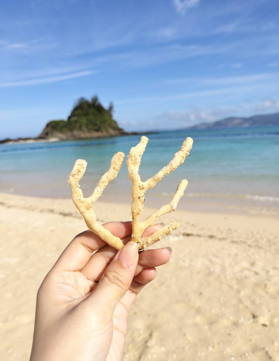 かりゆしビーチの珊瑚