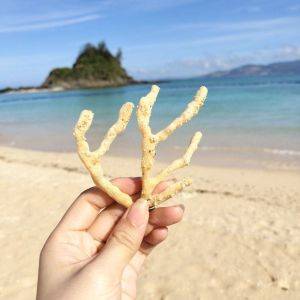 子どももOK！沖縄でマリンスポーツを満喫するなら「かりゆしビーチ」