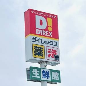 大当たりの予感がする。【ダイレックス】人気商品がとてつもなく旨いよ