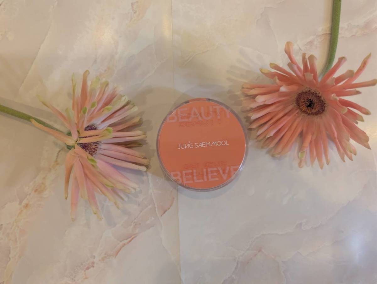JUNGSAEMMOOL アーティスト クッション ブラッシュ